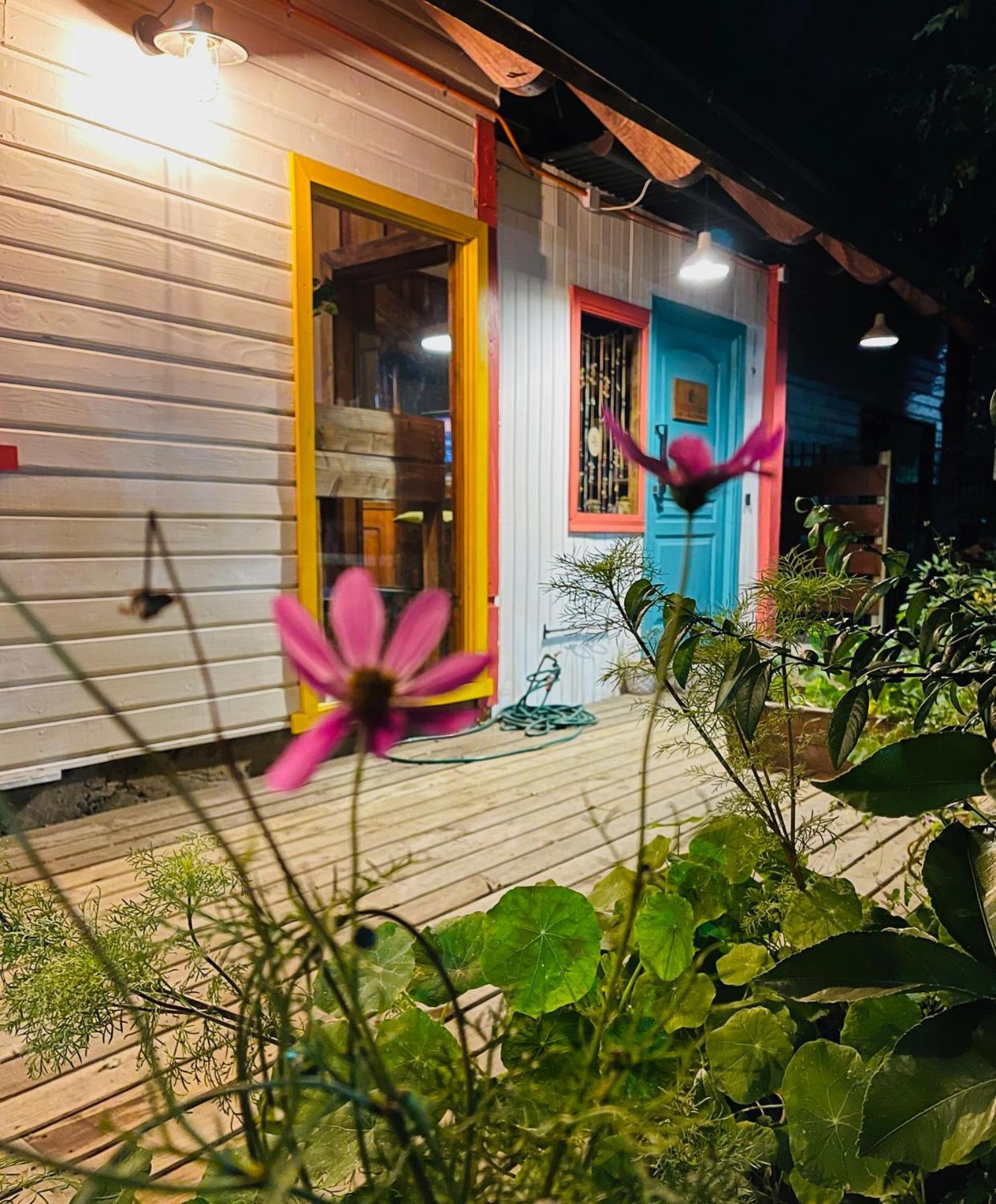 La Araucaria Hosteria Boutique - Ex Lounge Brasil Pucón Zewnętrze zdjęcie