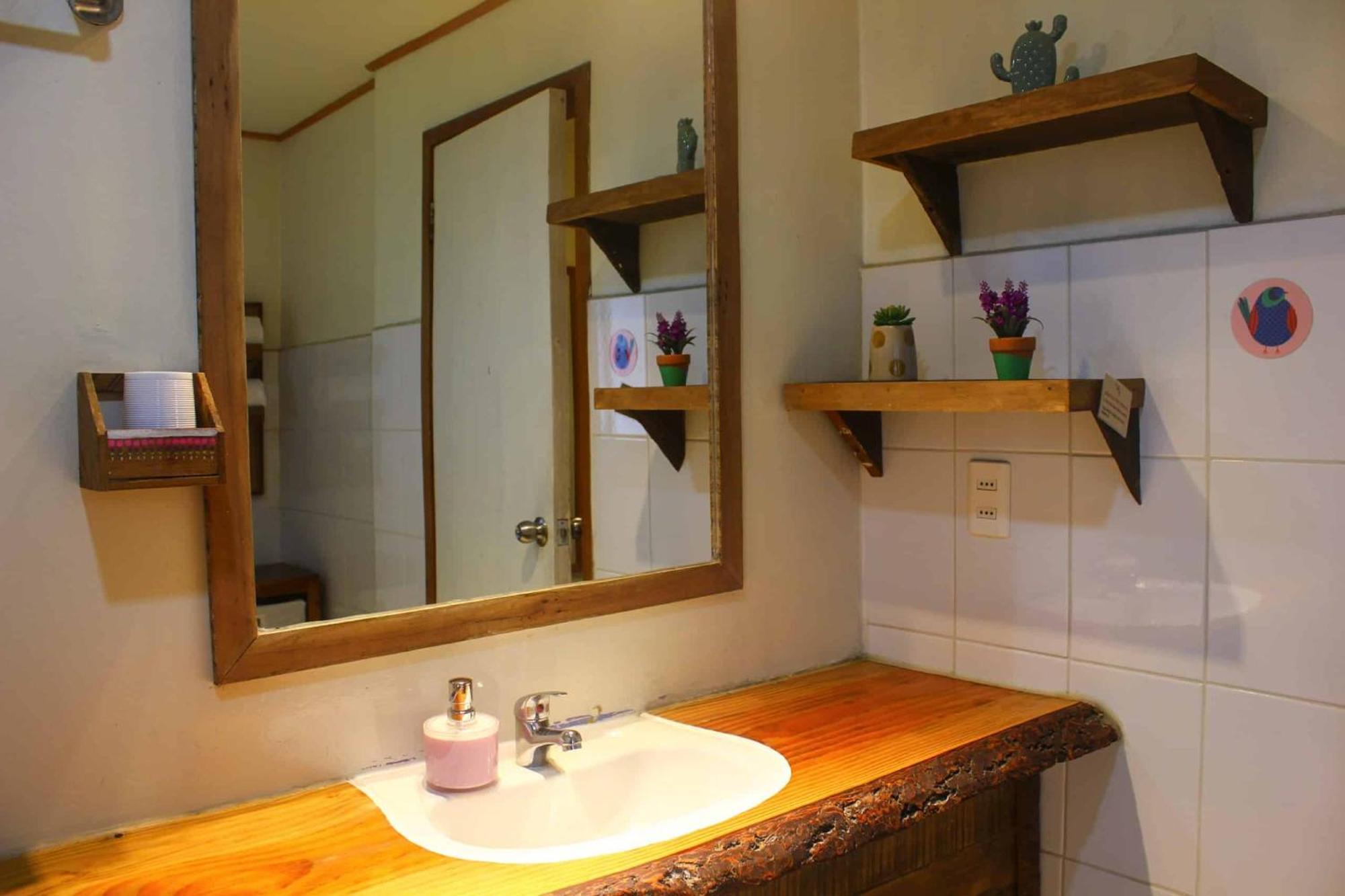 La Araucaria Hosteria Boutique - Ex Lounge Brasil Pucón Zewnętrze zdjęcie
